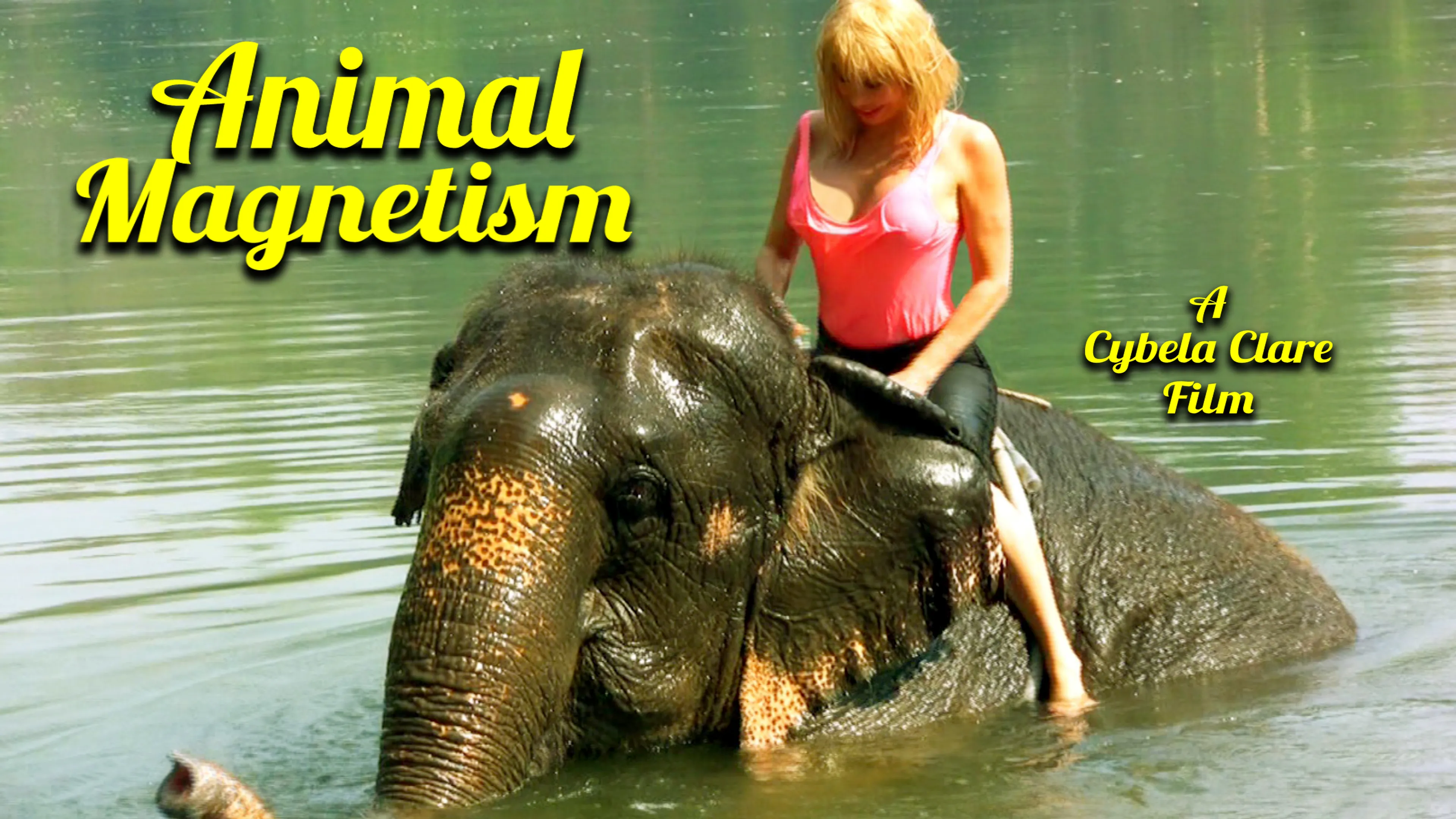 Animal Magnetism poster